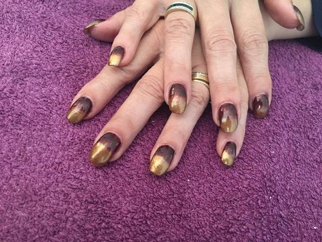 Tiger Nails and Beauty Mobile Therapist