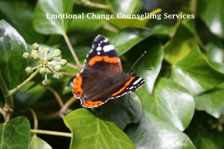 Emotional Change Counselling Services
